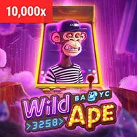 Bảo mật thông tin người dùng mp66 casino